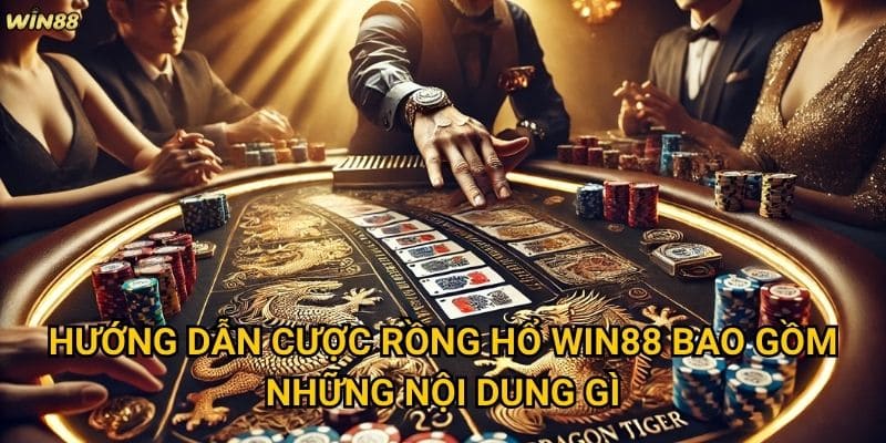Hướng dẫn cược Rồng Hổ Win88 có giúp người mới dễ hiểu không? 2 Hướng dẫn cược Rồng Hổ Win88 bao gồm những nội dung gì?