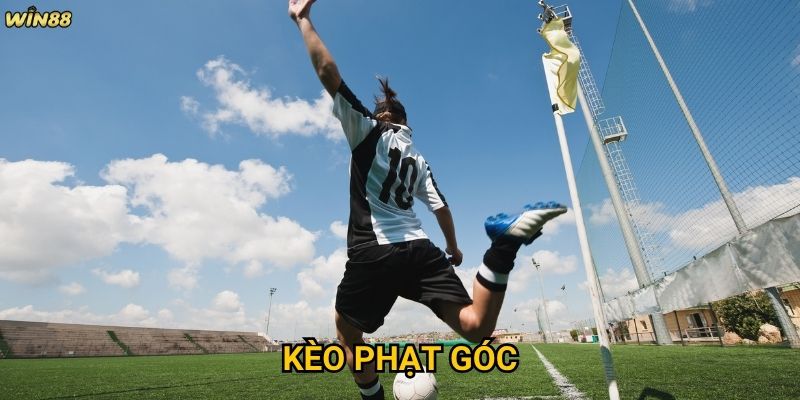 Kèo Phạt Góc Win88 có phải lựa chọn tốt cho người mới không?