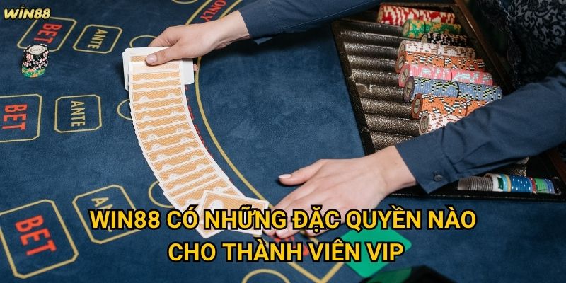 Giải đấu Baccarat VIP Win88 có xứng đáng với mức đầu tư không? 3 Win88 có những đặc quyền nào cho thành viên VIP?