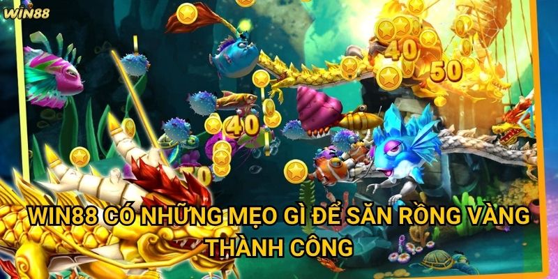 Làm thế nào để chinh phục Bắn Cá Rồng Vàng Win88 hiệu quả nhất? 3 Win88 có những mẹo gì để săn Rồng Vàng thành công?